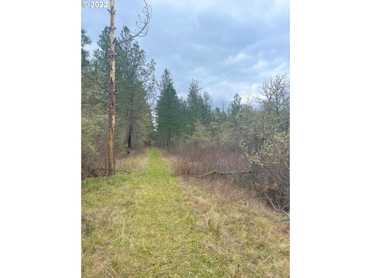 Restwell Rd - Photo 1