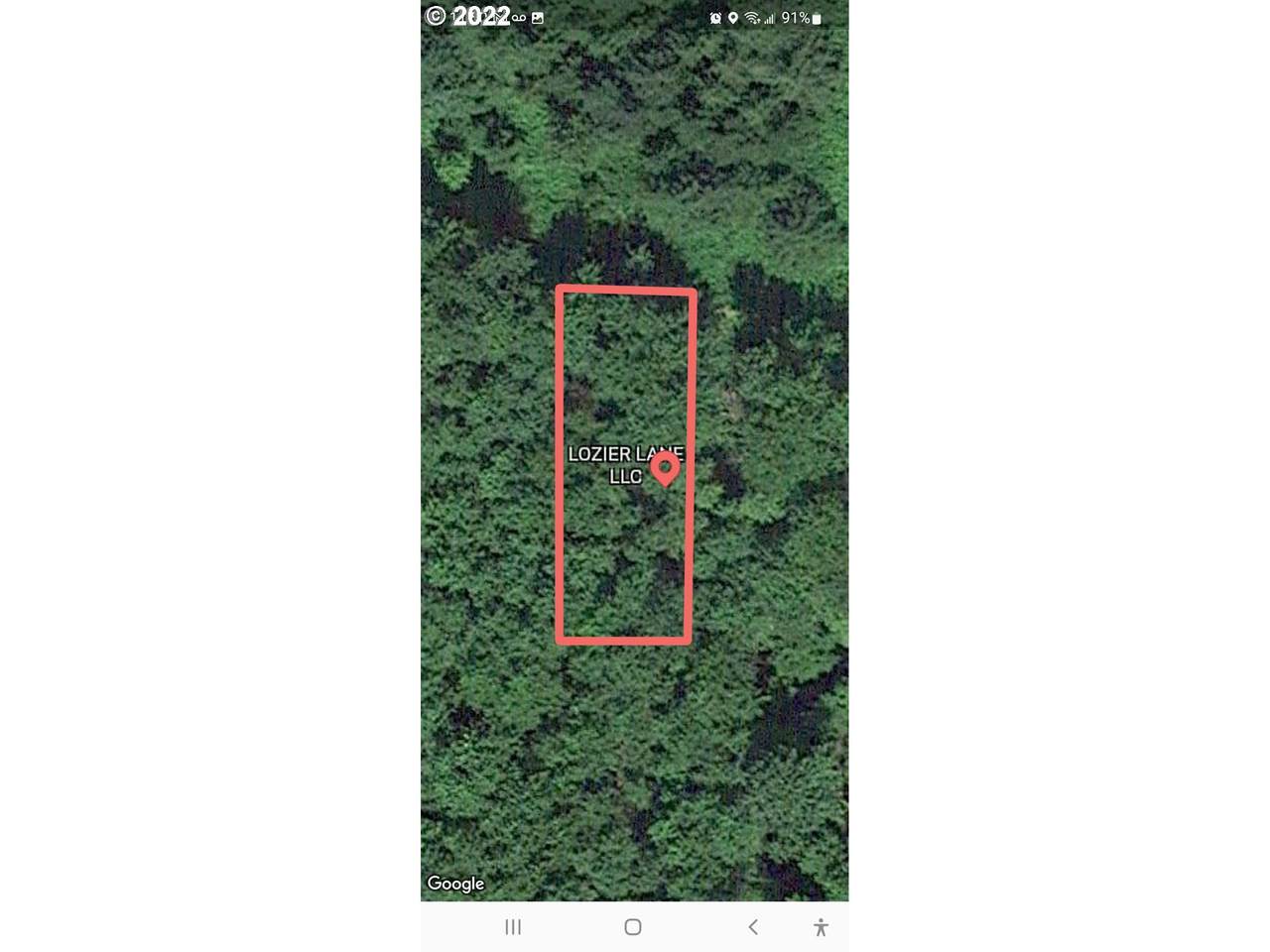 0 F.S. Road 805 - Photo 1