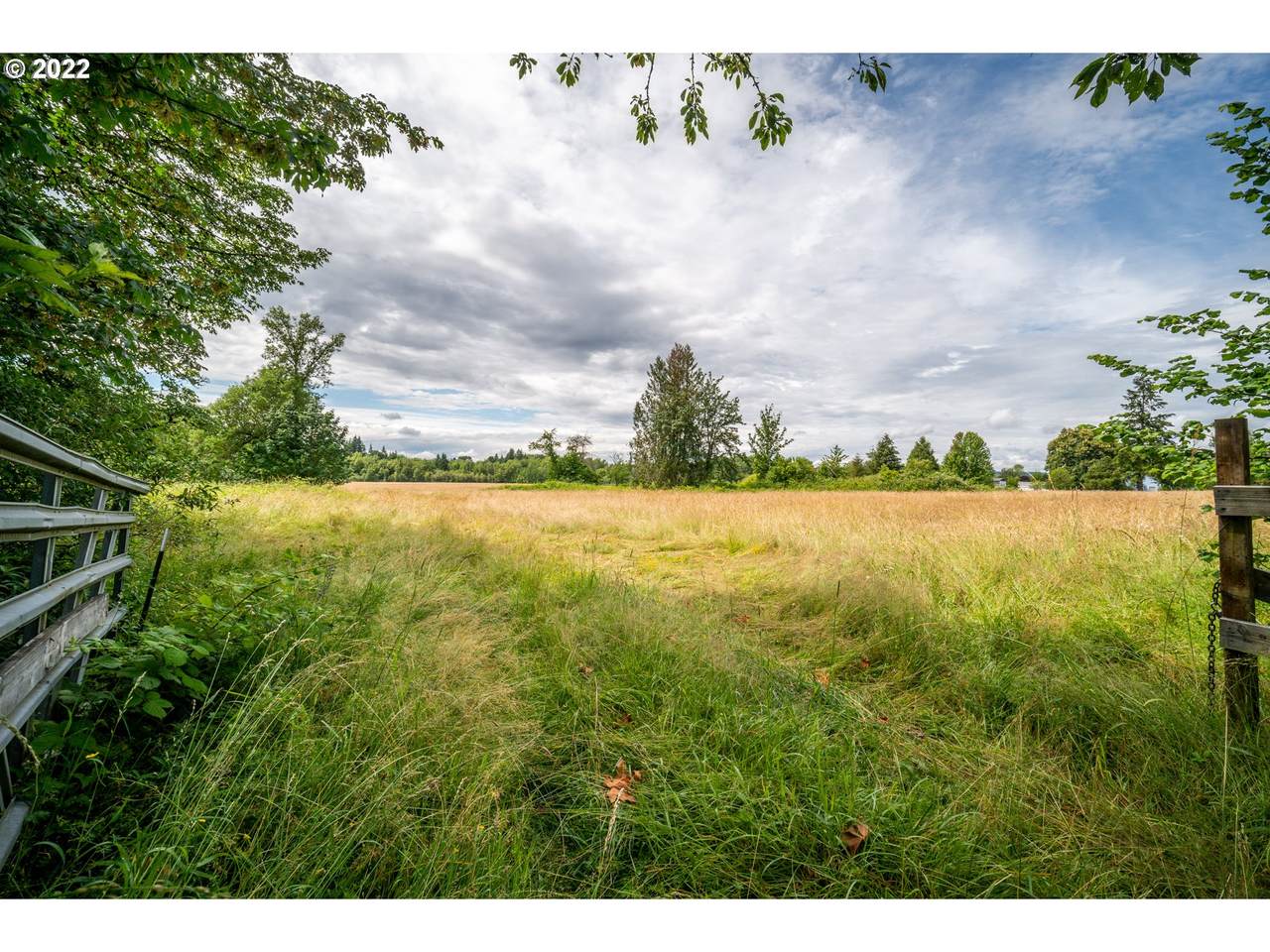 14206 182ND Ave - Photo 1