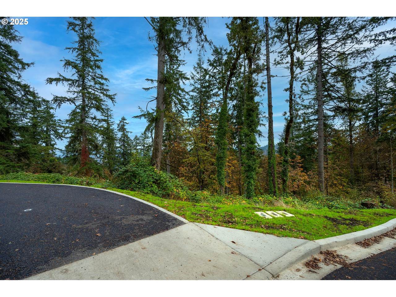 2629 Cupola Dr - Photo 1