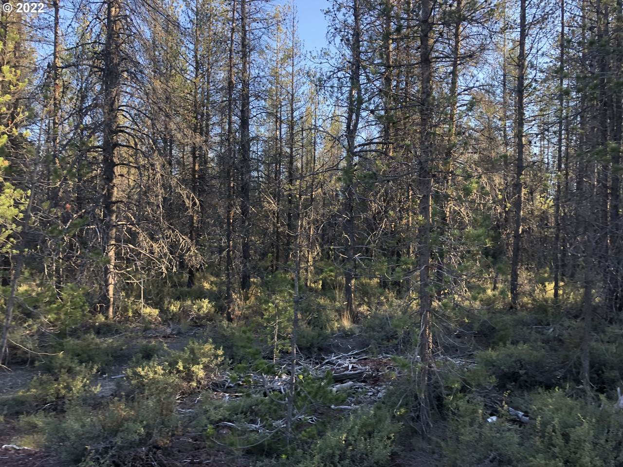Munson Dr - Photo 1