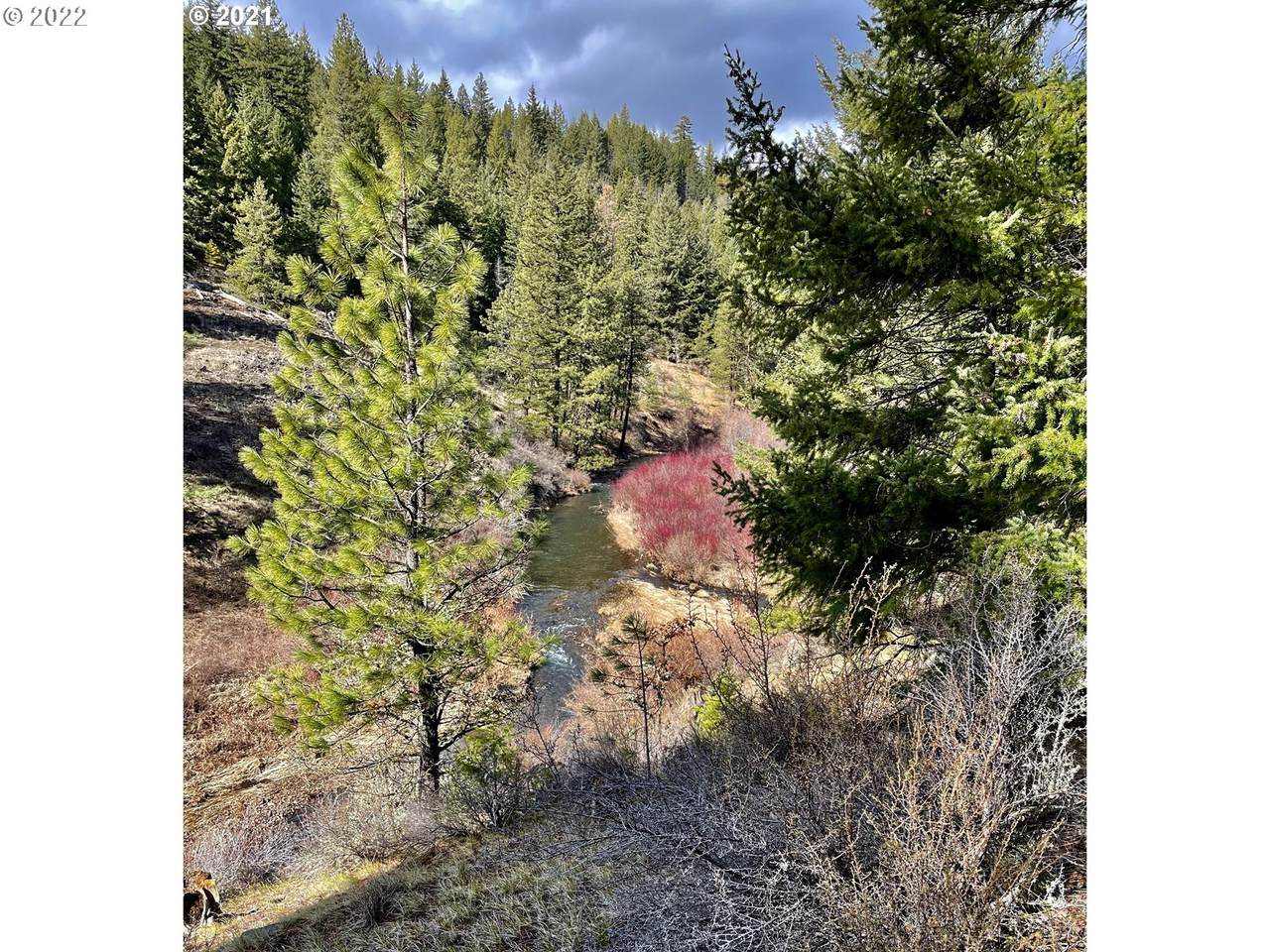 Three Creeks Rd - Photo 1