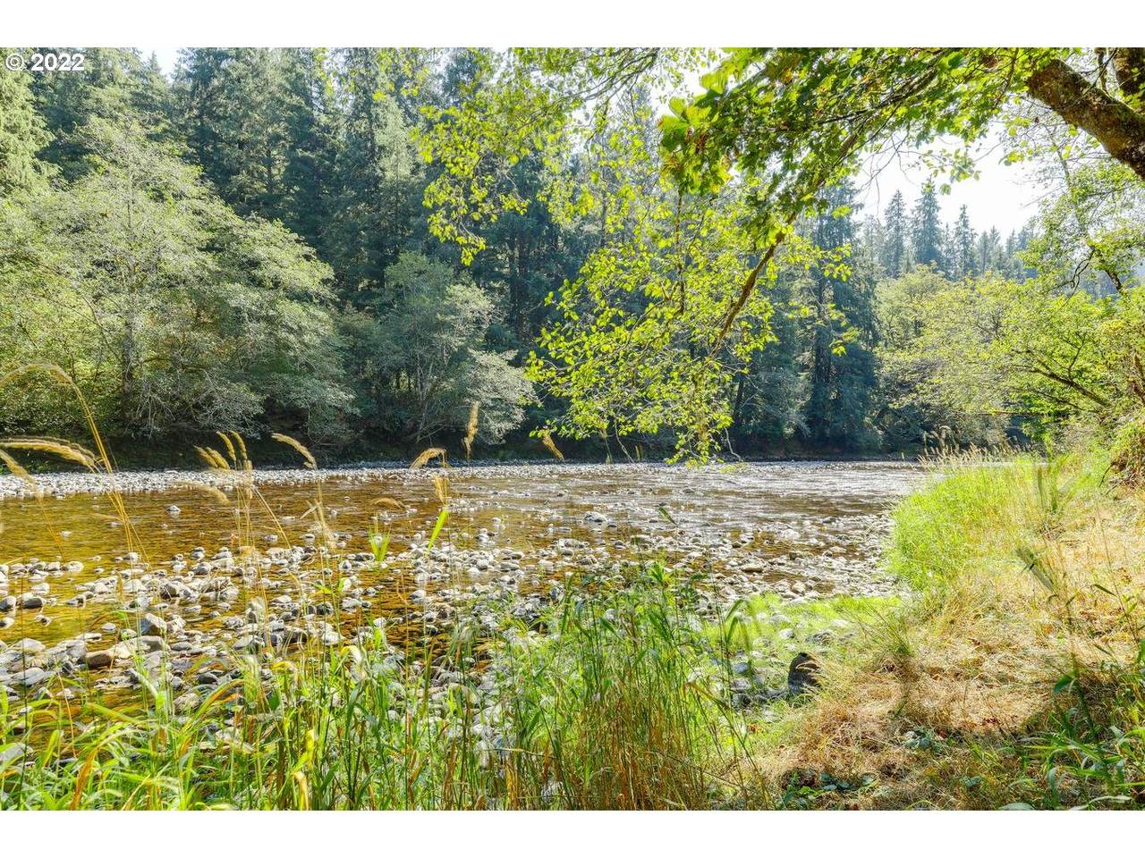 10250 Kilchis River Rd - Photo 1