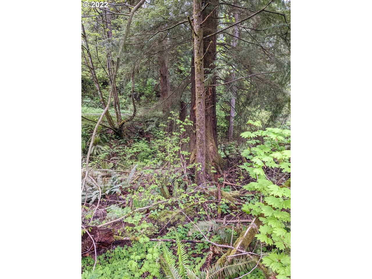 38631 Highway 211 - Photo 1