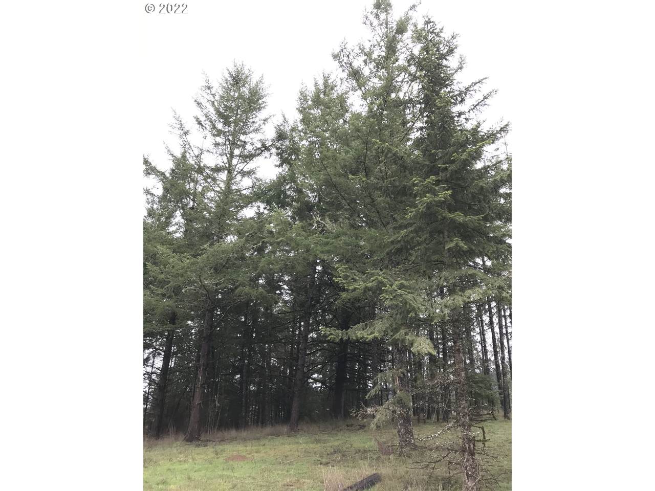 0 Fir Grove Ln - Photo 1