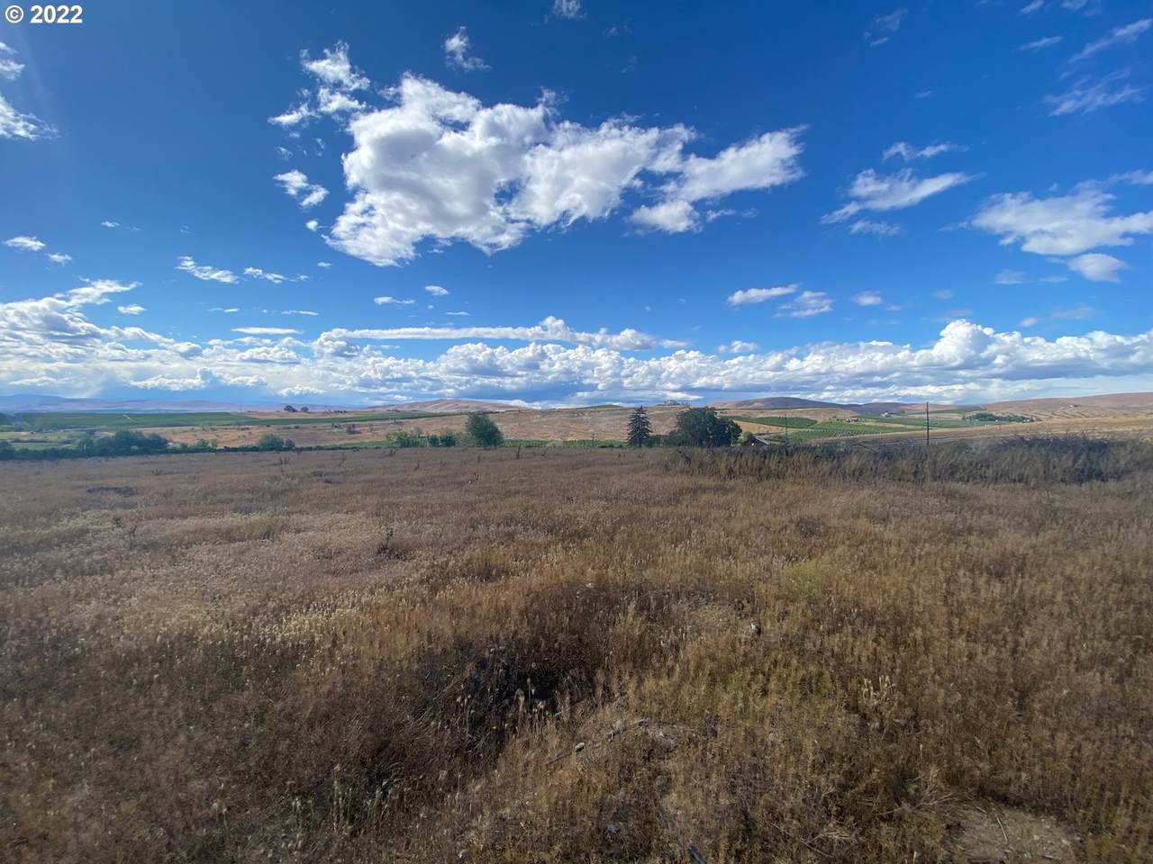 0 Lombard Loop Rd - Photo 1