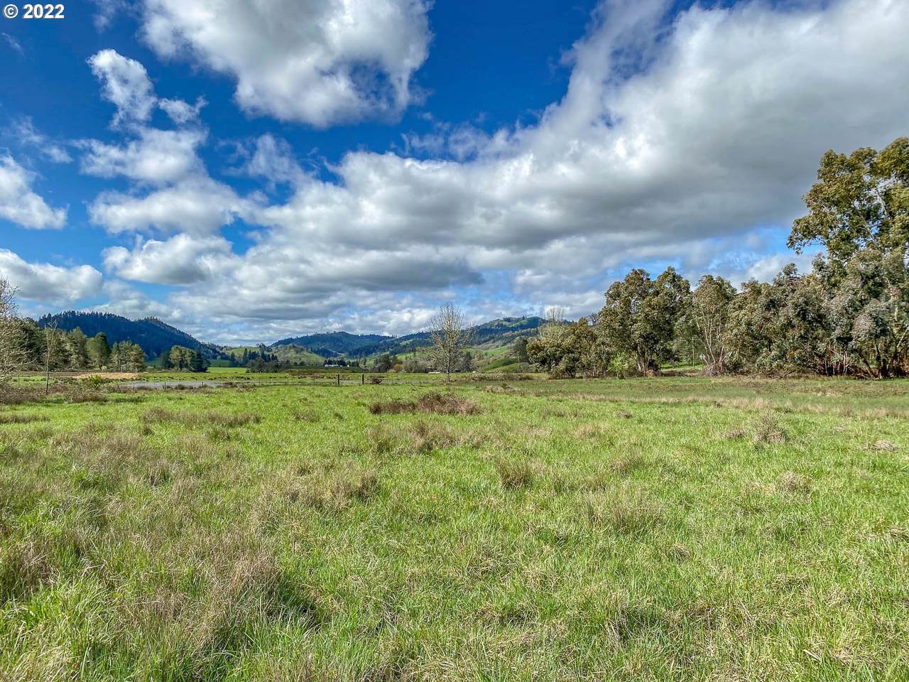 0 North Umpqua Hwy - Photo 1