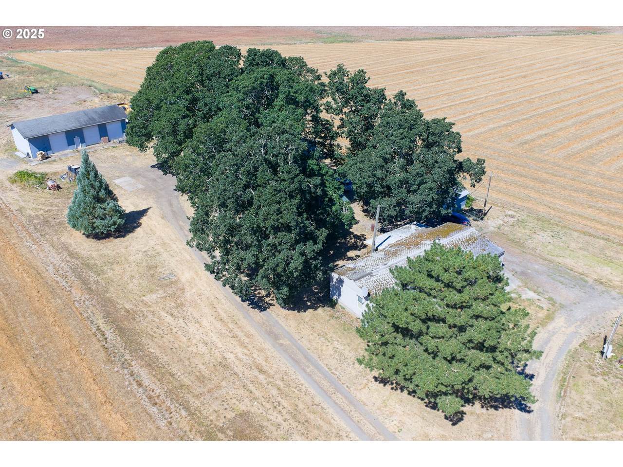 37225 Jefferson Scio Dr - Photo 1