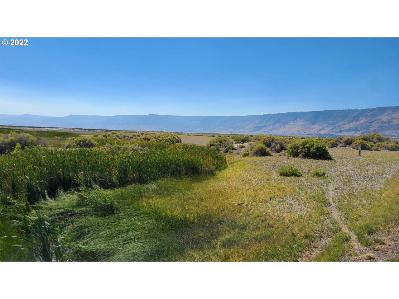 Thousand Springs Ln - Photo 1