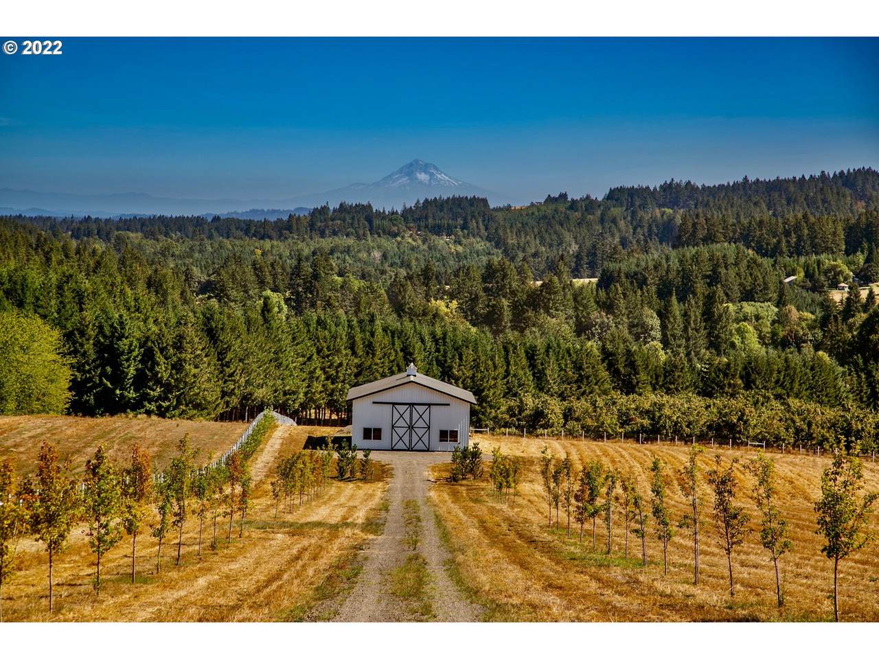 18200 Hillsboro Hwy - Photo 1