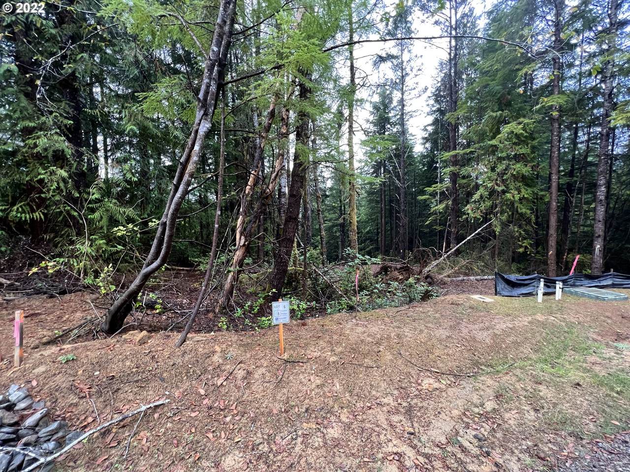 Little Woahink Dr - Photo 1