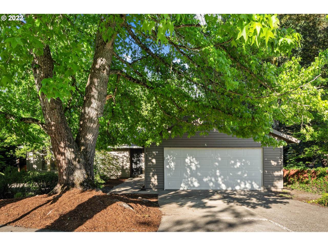 8710 Indian Hill Ln - Photo 1