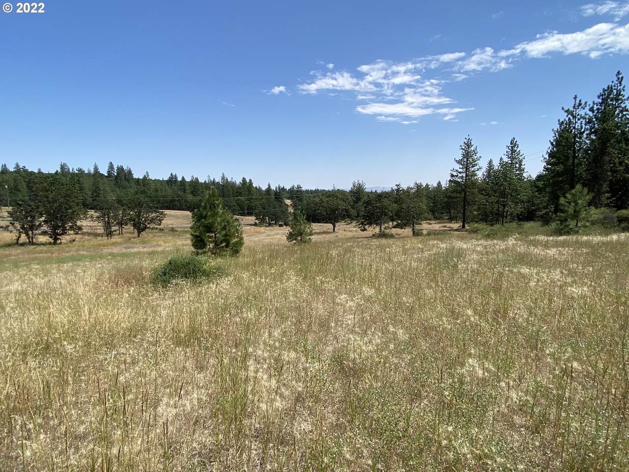 Long Rd - Photo 1