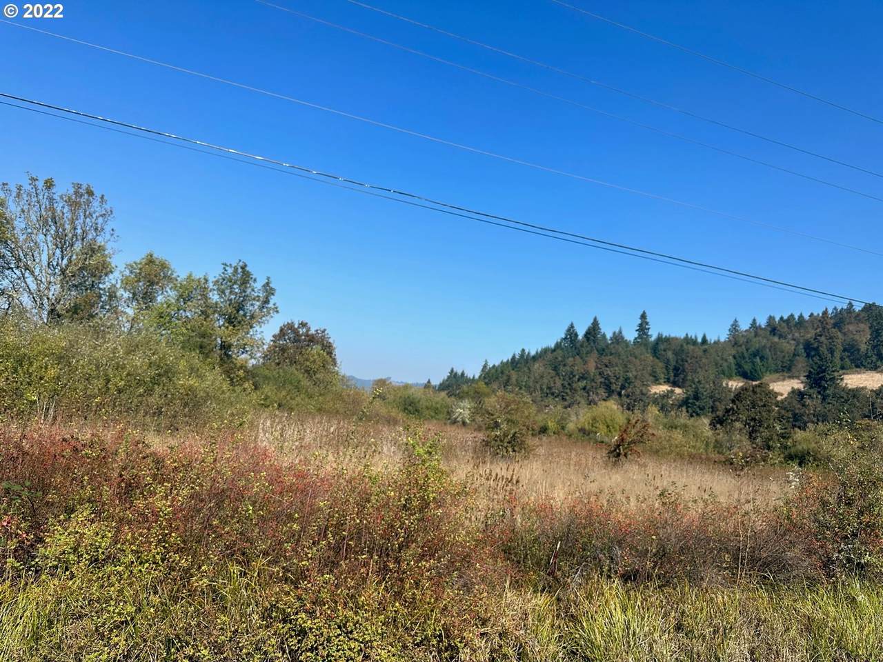 https://bt-photos.global.ssl.fastly.net/portland/1280_boomver_2_22339417-2.jpg