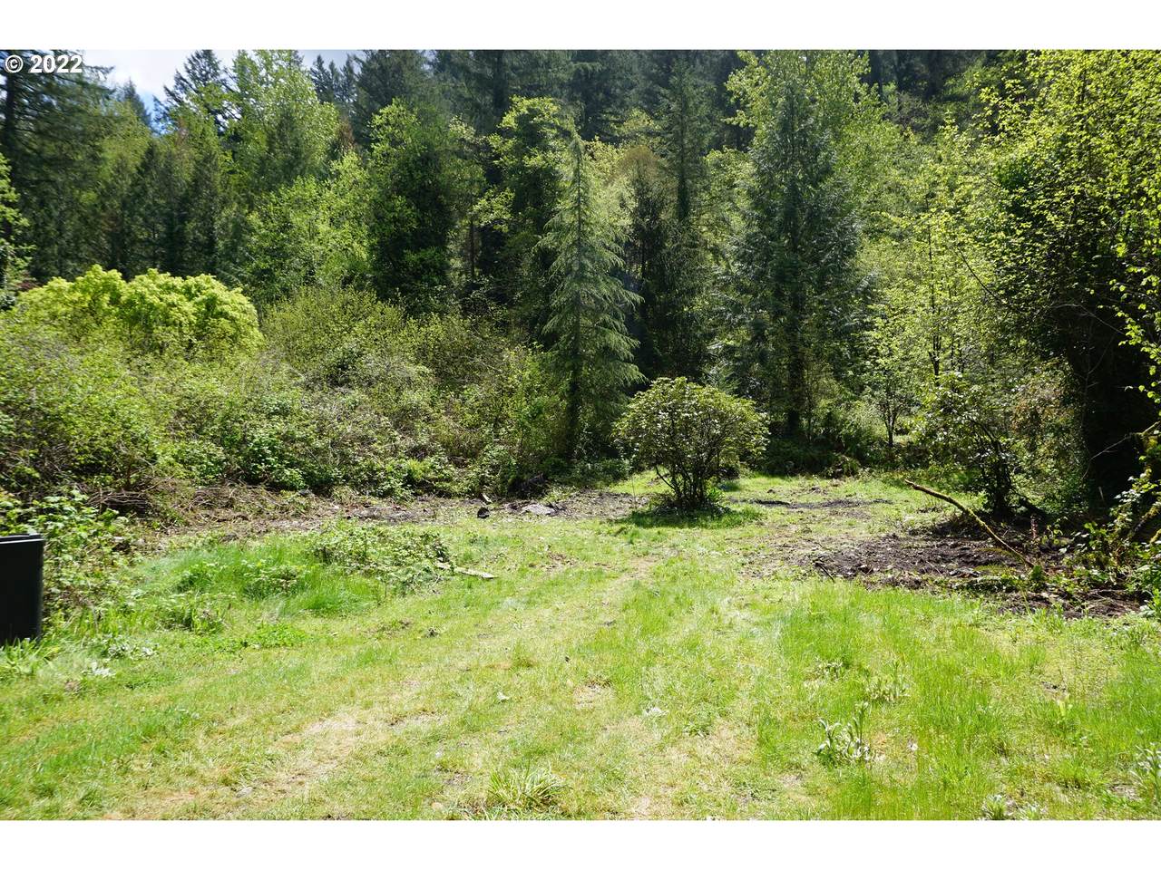 0 Cole Witter Rd - Photo 1