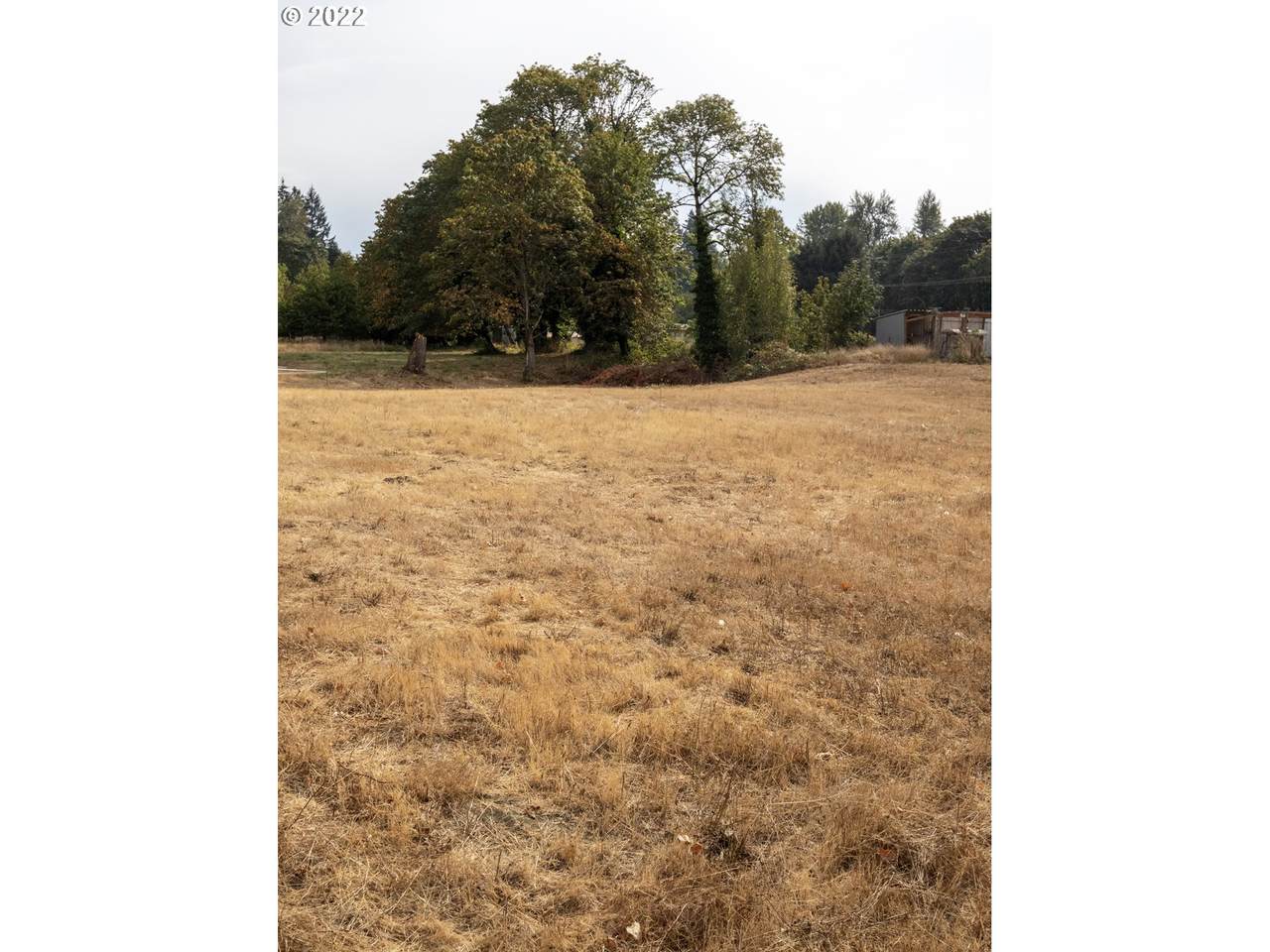 32725 Berlin (Next To) Rd - Photo 1
