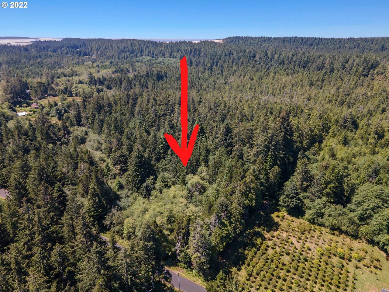 Derrick Rd - Photo 1