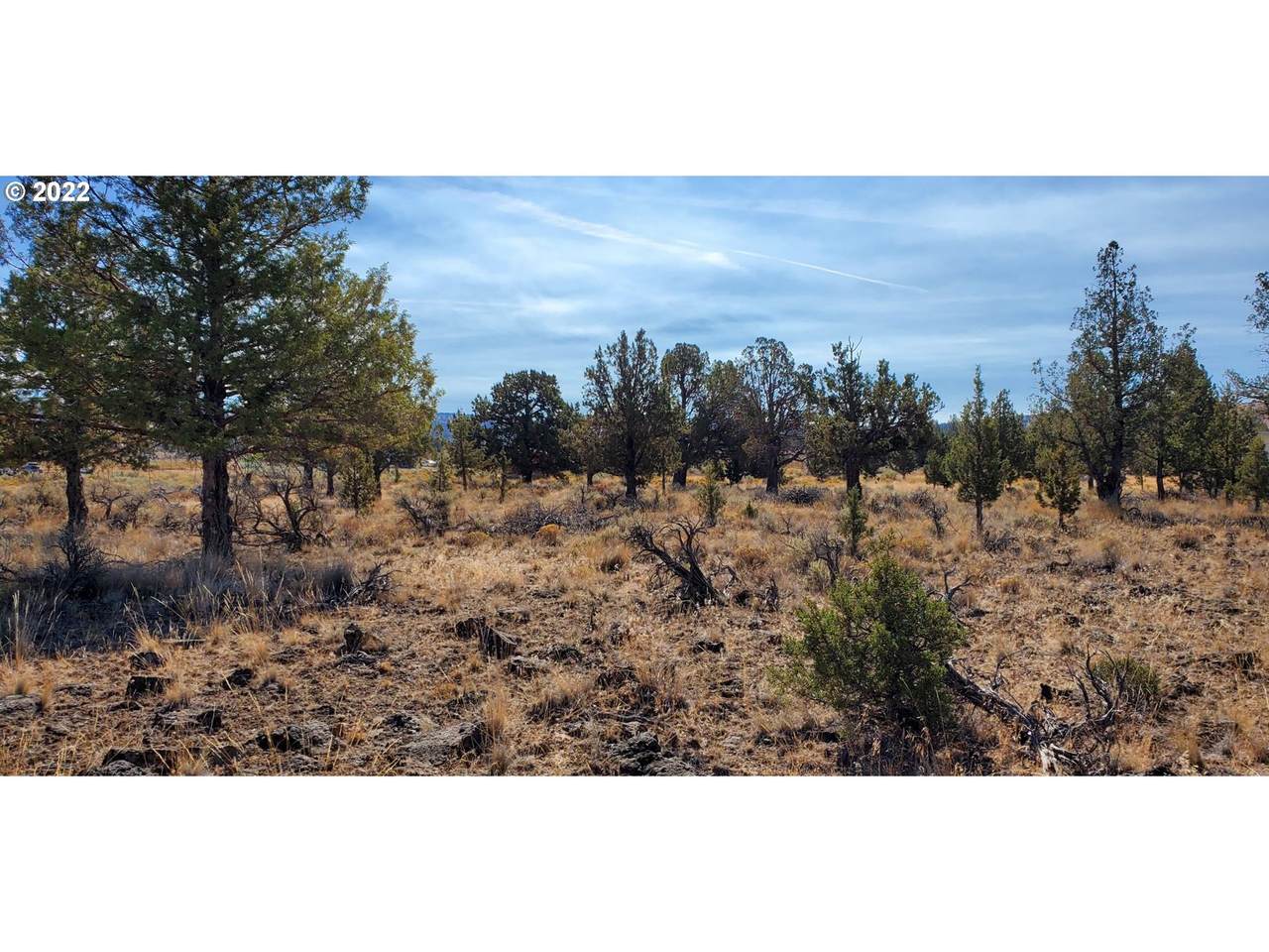 15505 Erie Rd - Photo 1