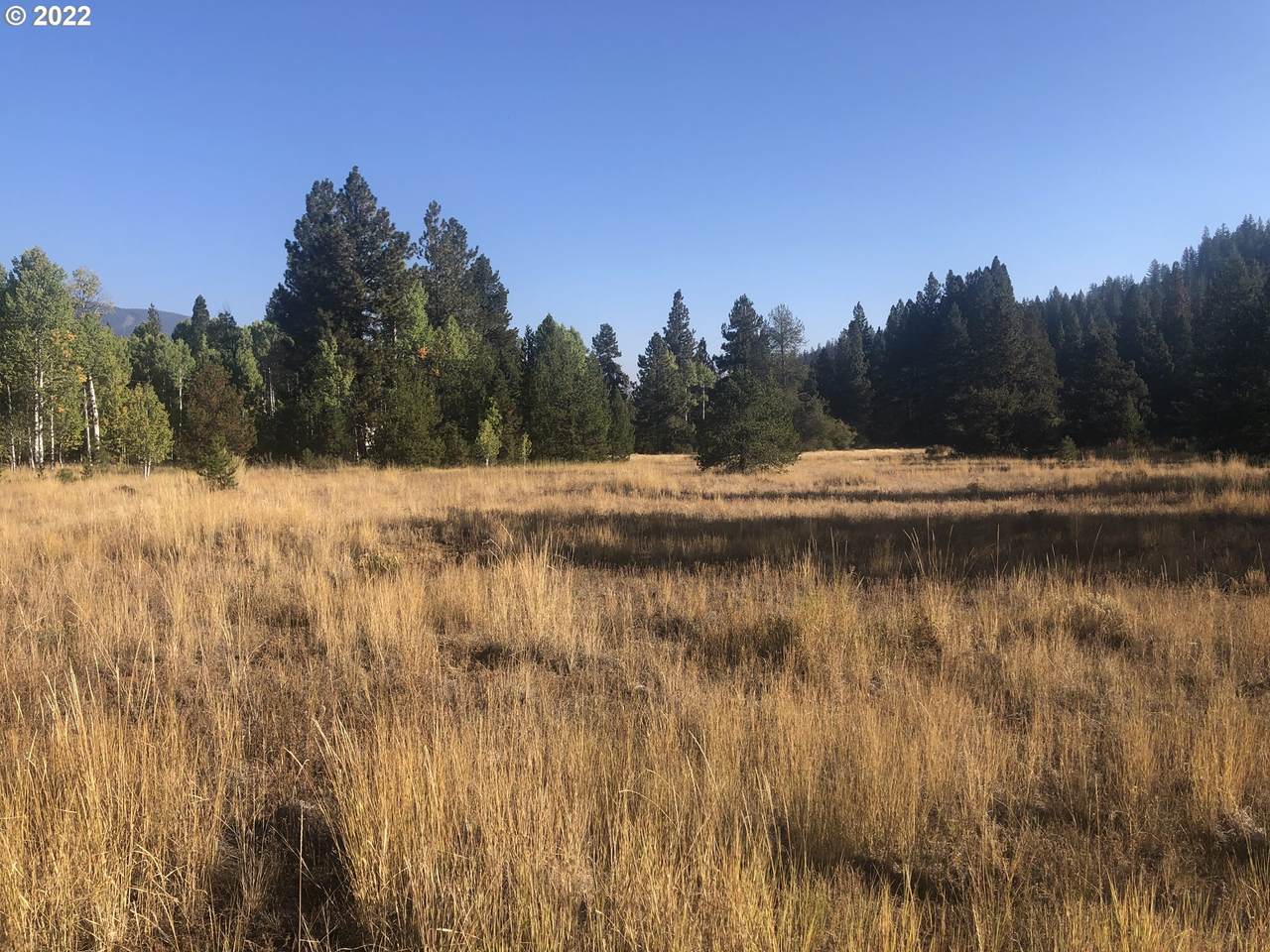 Cascade Way - Photo 1