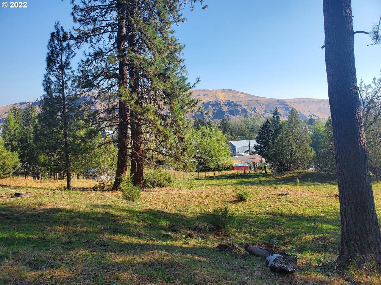 001 Alder St - Photo 1