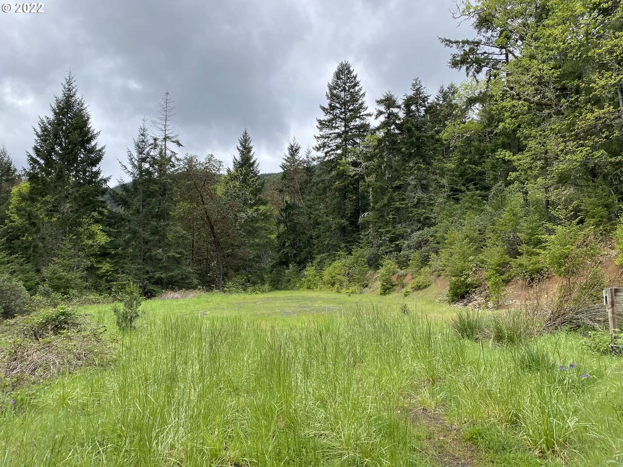 13697 State Highway 42 - Photo 1