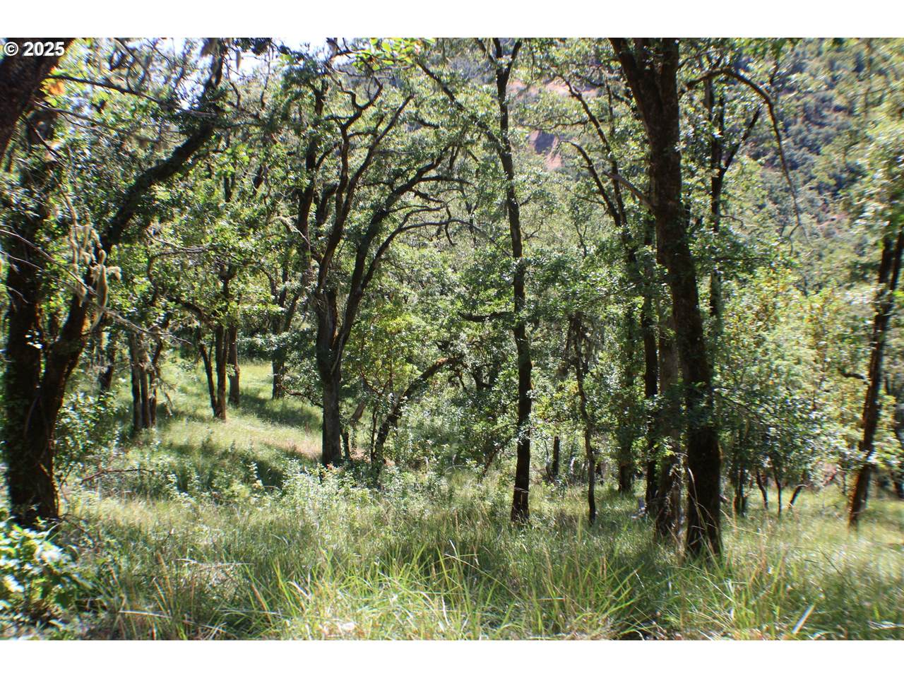 345 Sierra Dr - Photo 1