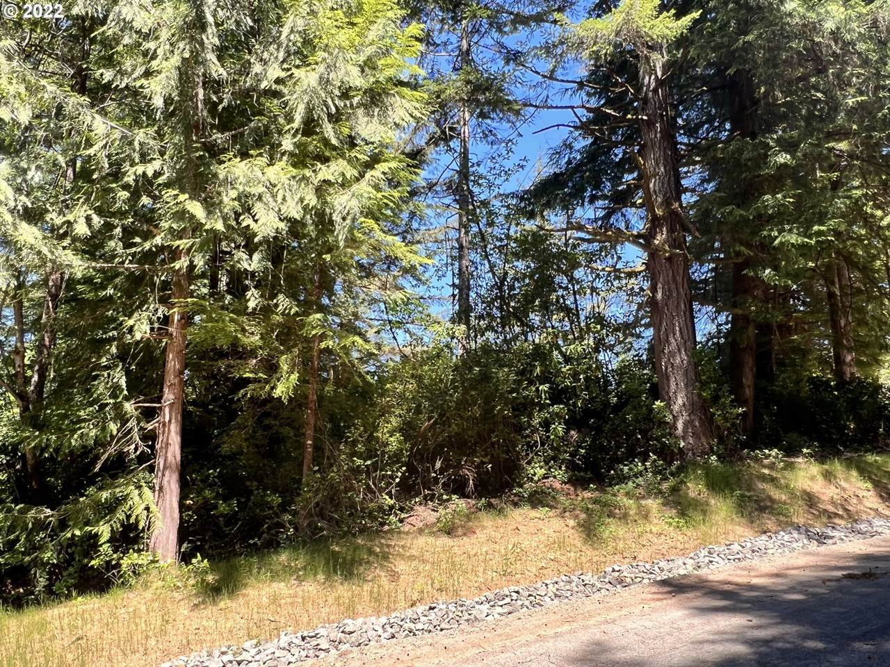 Little Woahink Dr - Photo 1