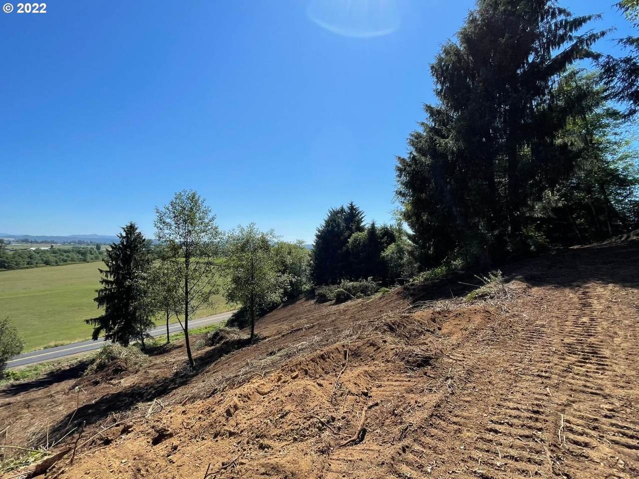 Sollie Smith Rd - Photo 1
