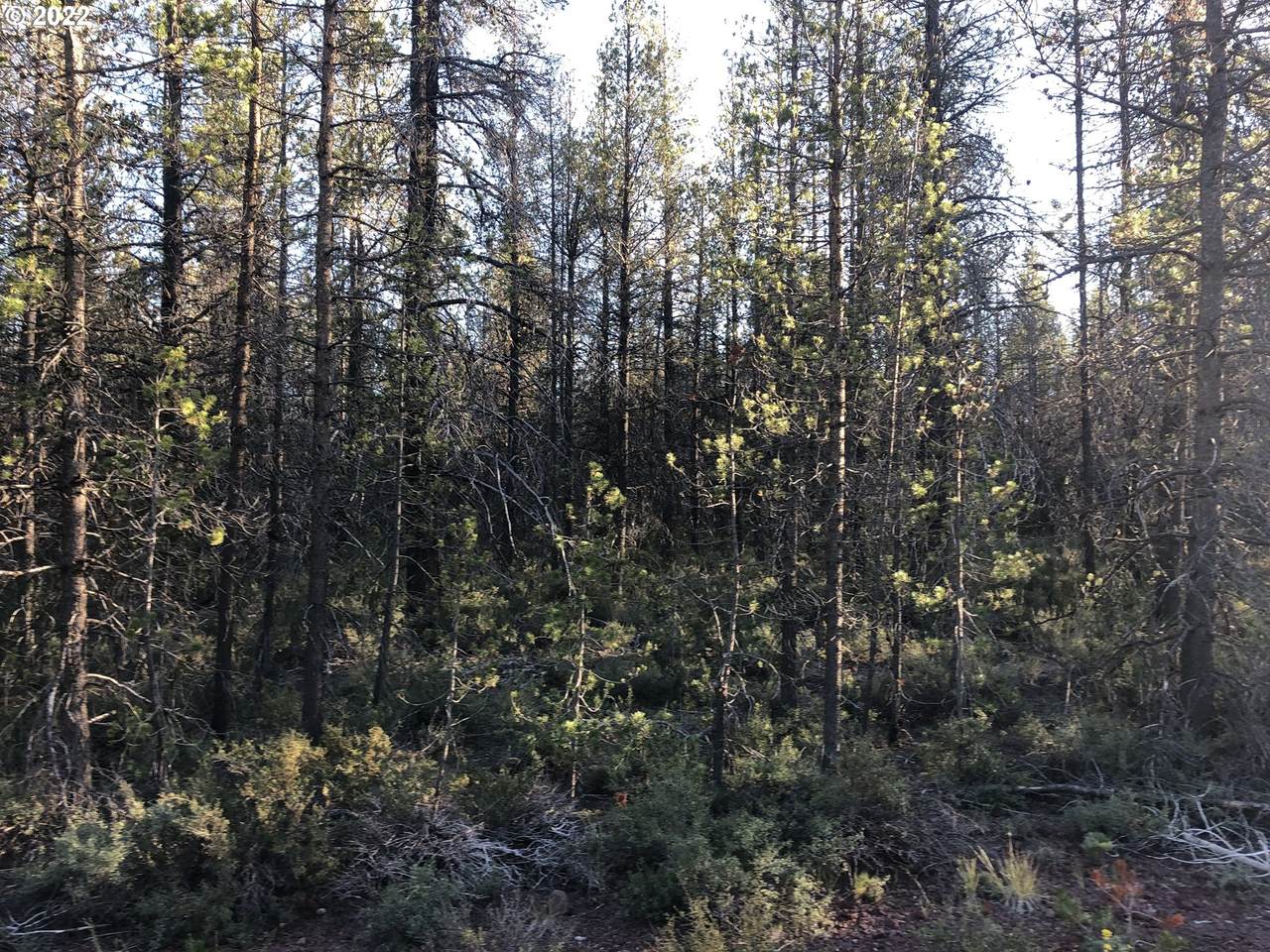 Munson Dr - Photo 1