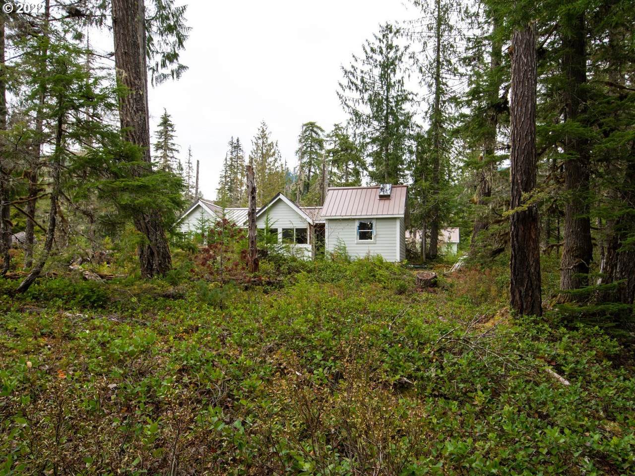 7360 Usfs 81 Rd - Photo 1