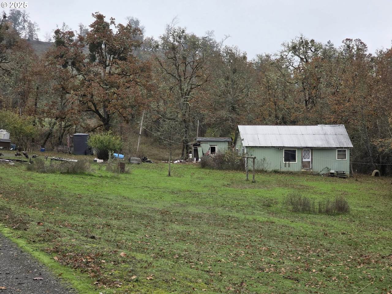 https://bt-photos.global.ssl.fastly.net/portland/1280_boomver_1_224414422-2.jpg