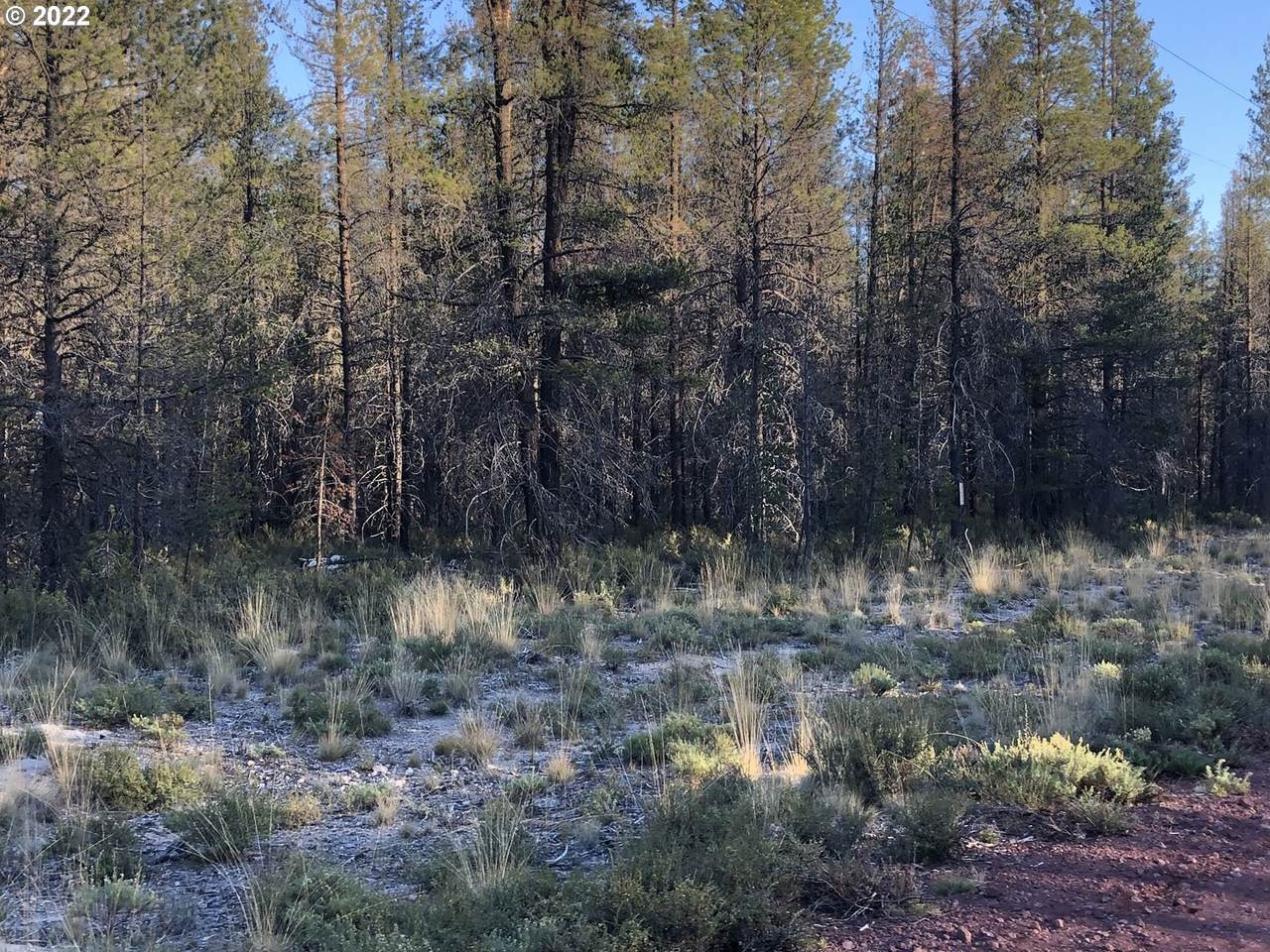 Priday Loop - Photo 1
