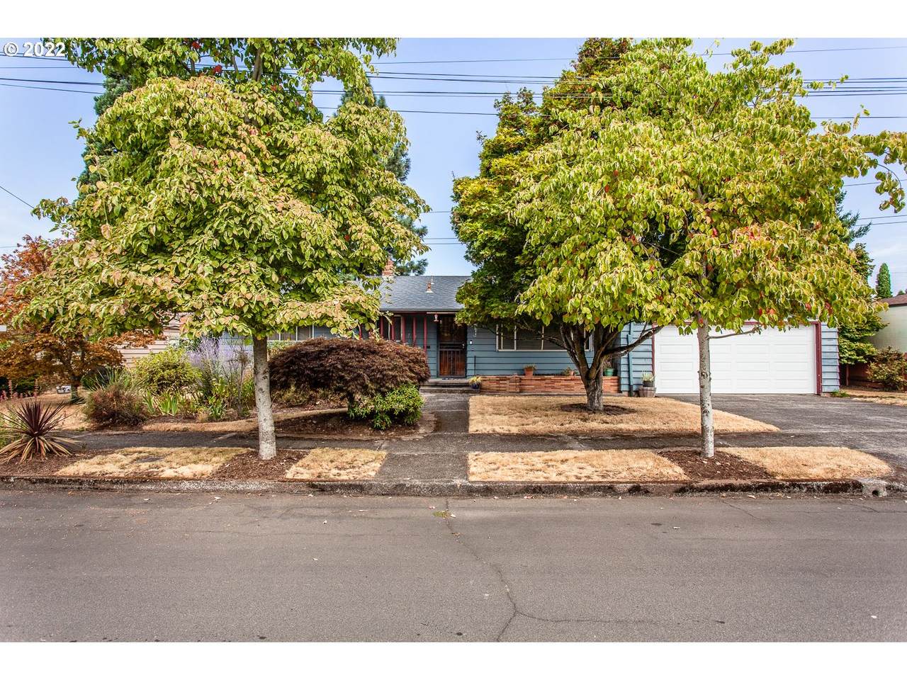 3939 Liberty Ter - Photo 1