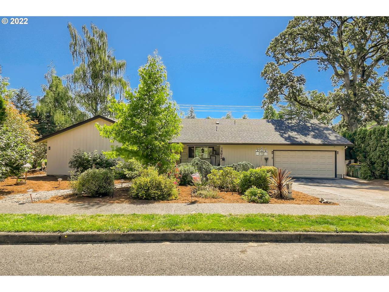 14672 Forestel Loop - Photo 1