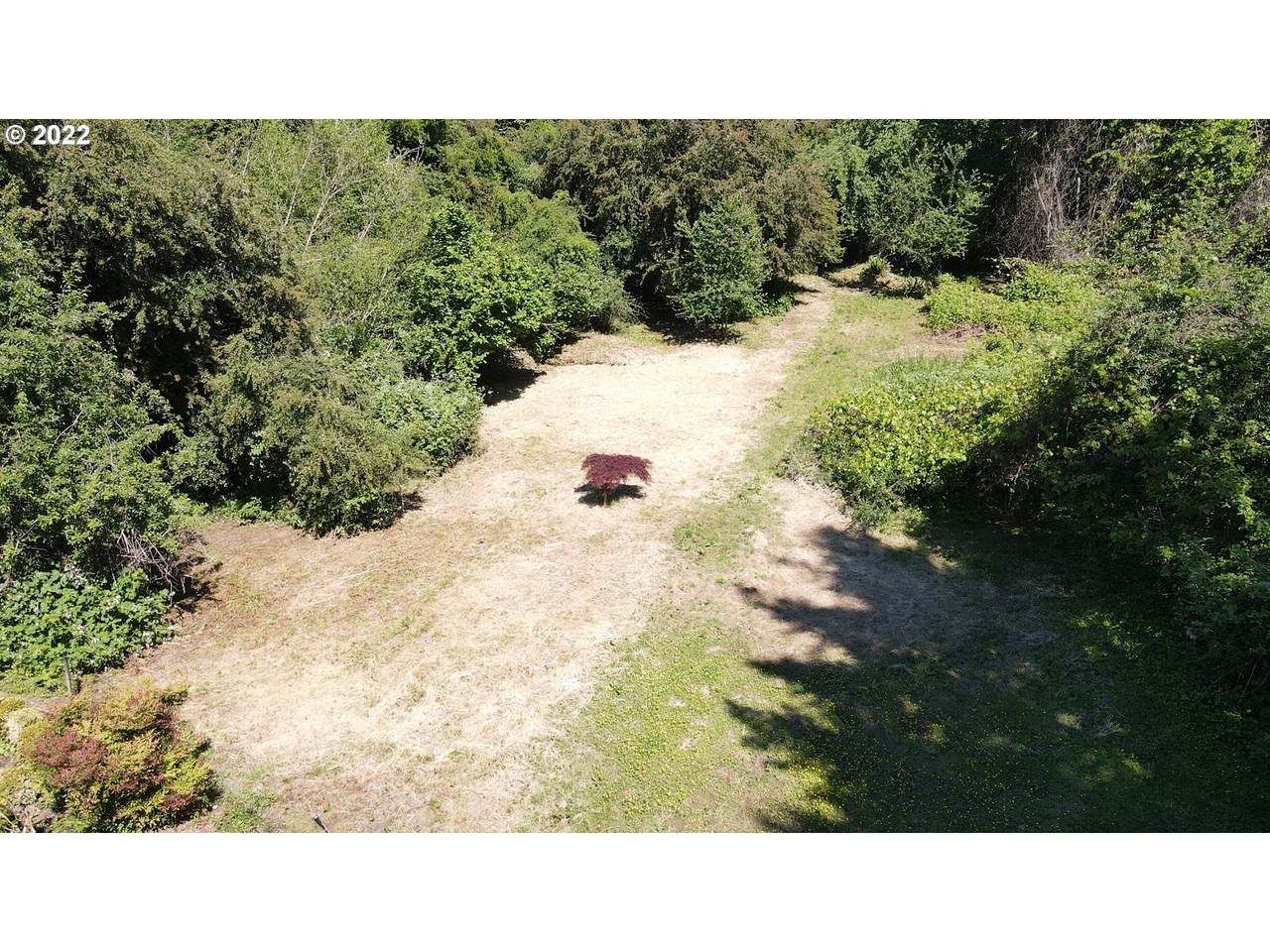 12337 Henderson St - Photo 1