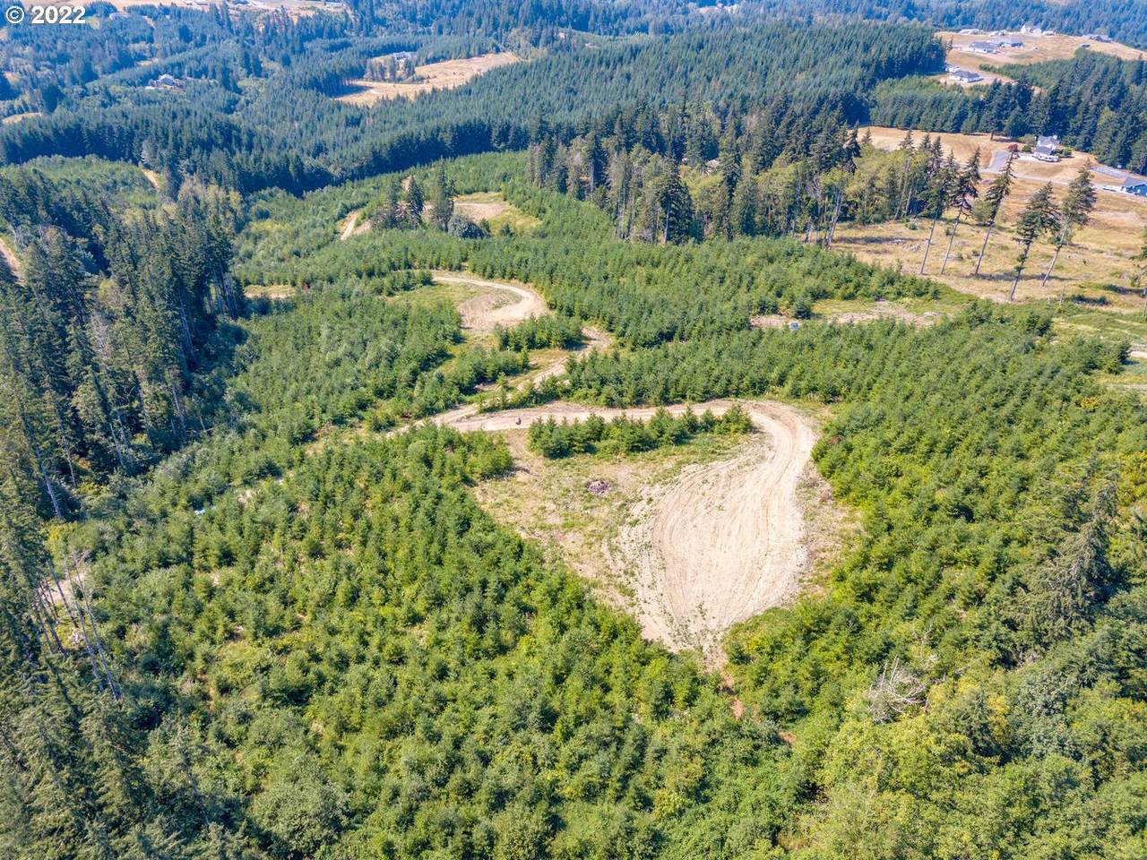 550 Bootjack Ln - Photo 1