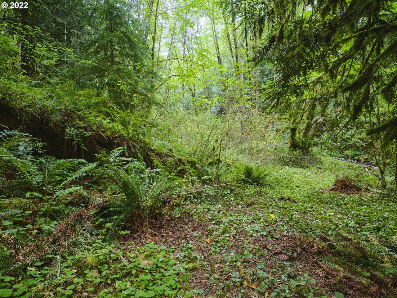 0 Little Kalama River Rd - Photo 1