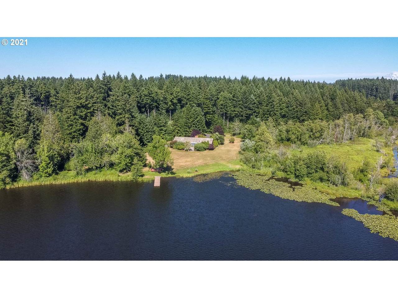2041 113th Ave - Photo 1