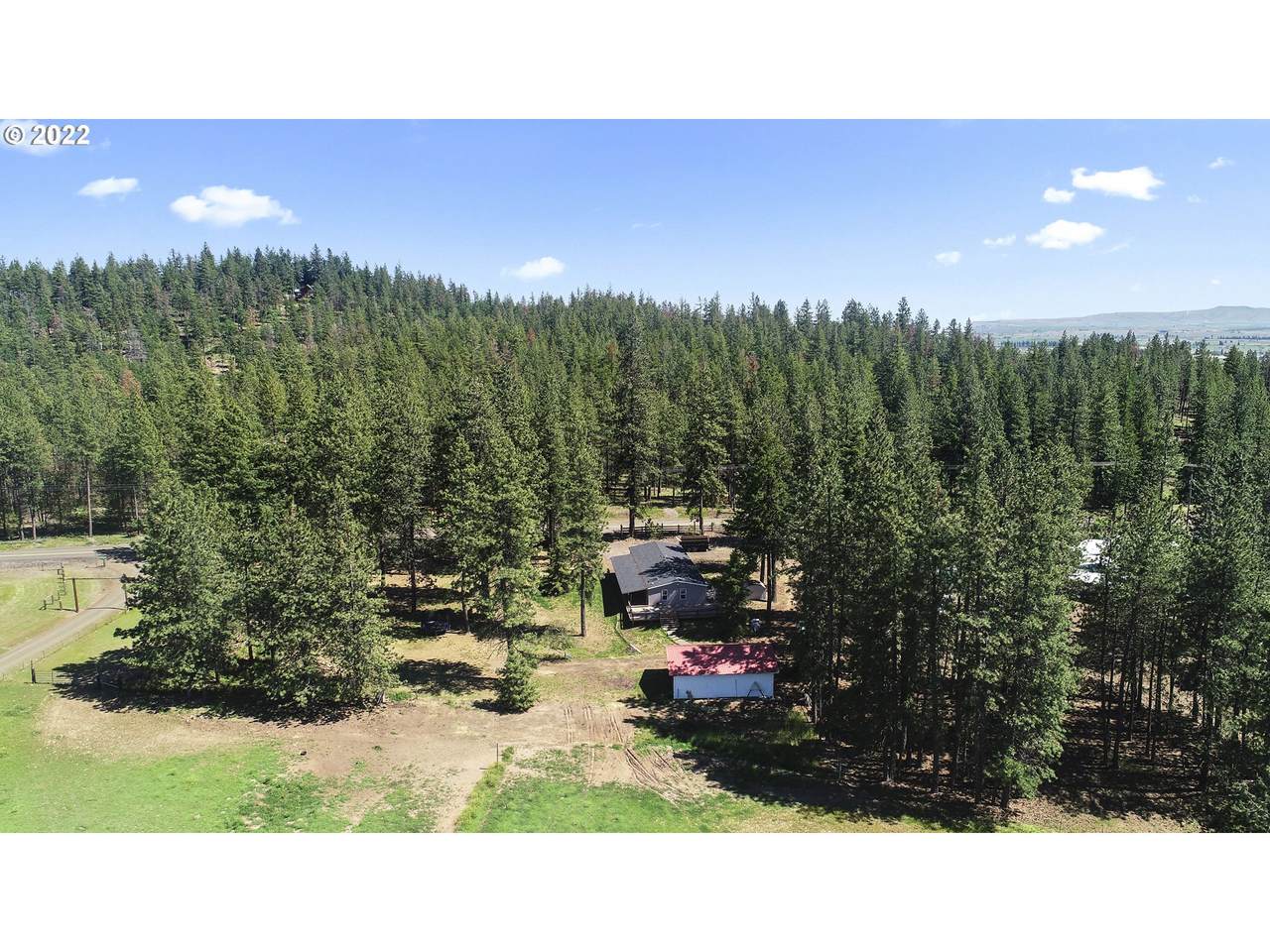745 Pine Forest Rd - Photo 1