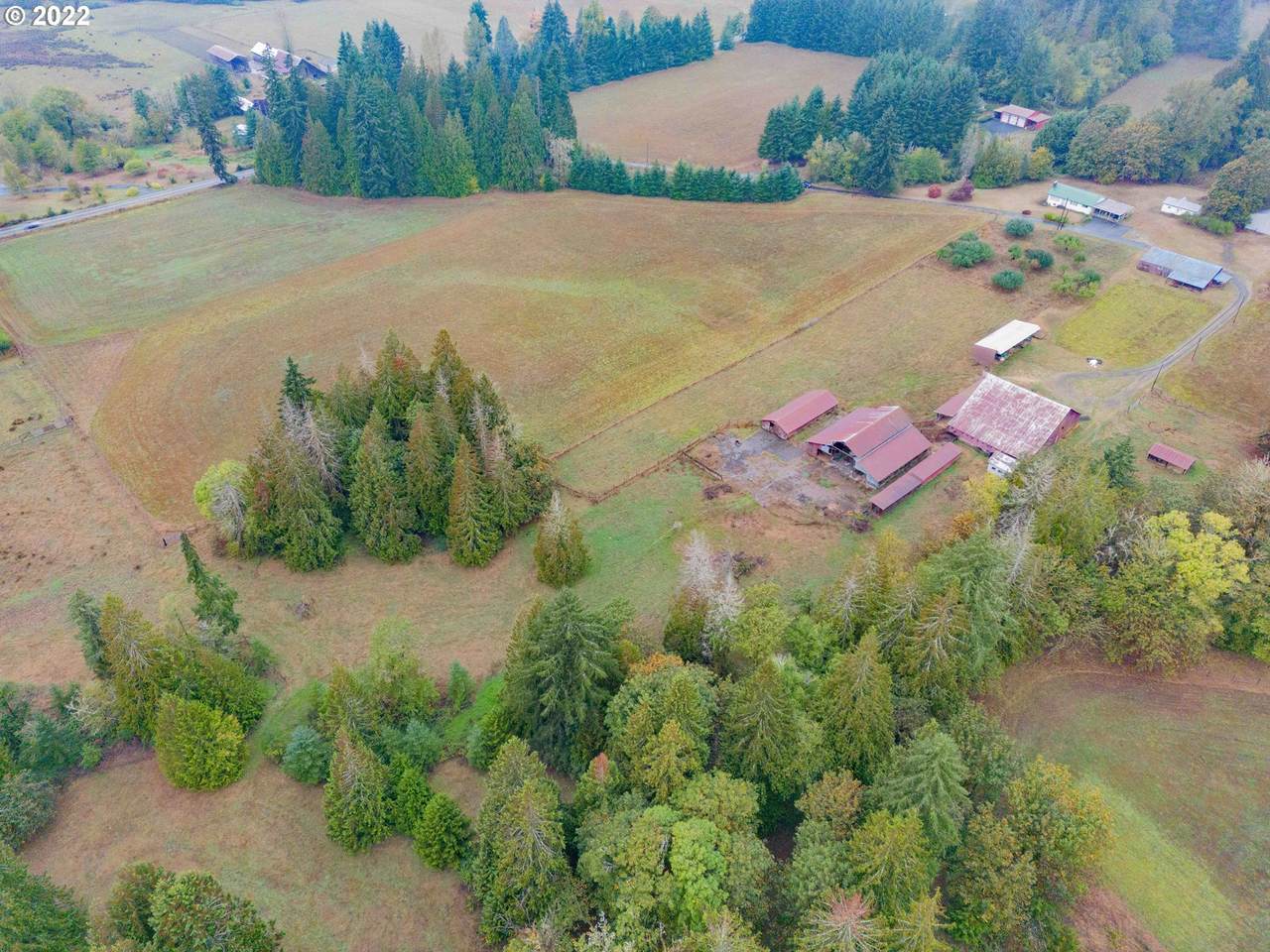 21405 167TH Ave - Photo 1