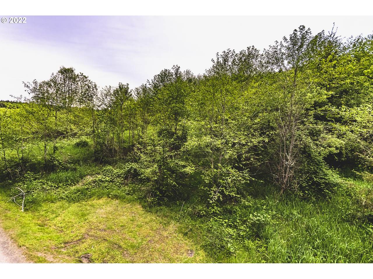 275 Westshore Rd - Photo 1