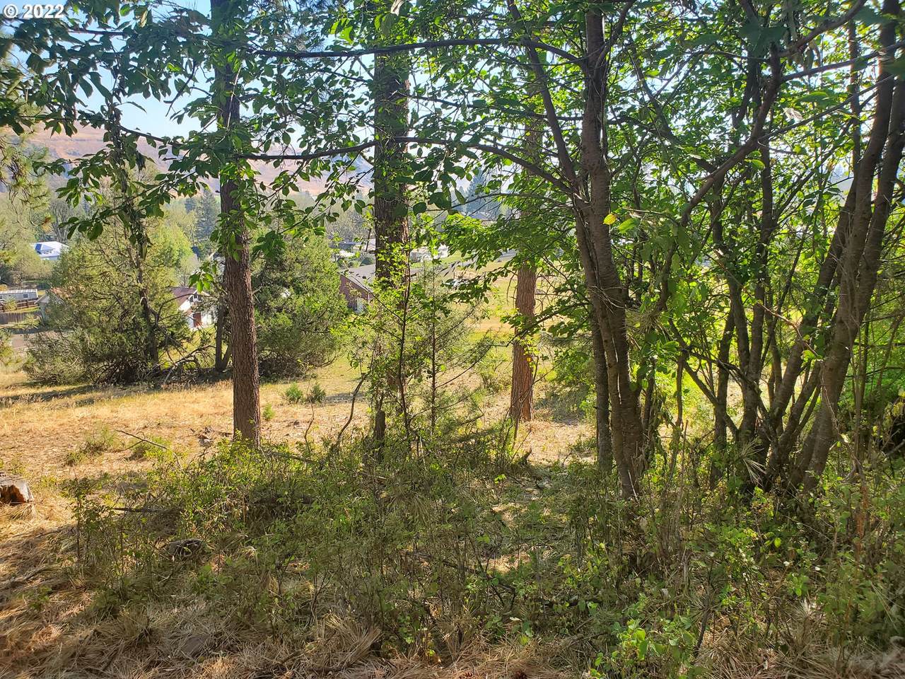 002 Alder St - Photo 1