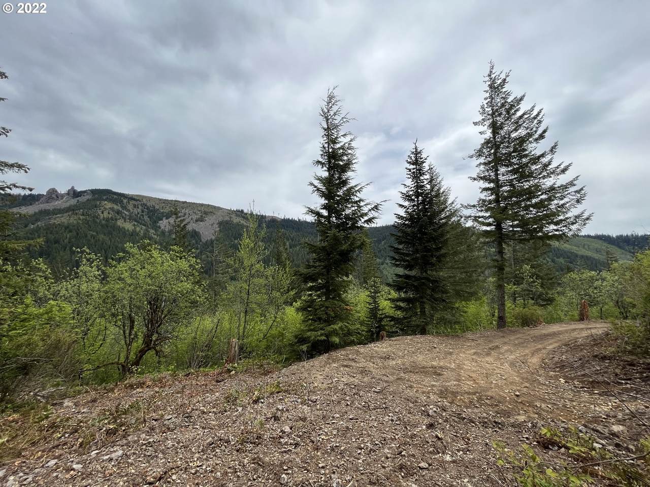 Snag Mountain Rd - Photo 1