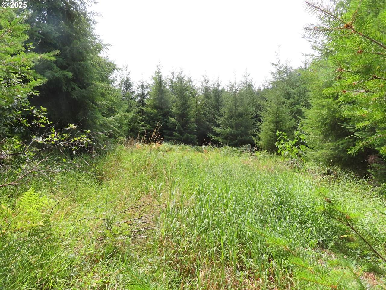  Mill Creek Lane - Photo 1