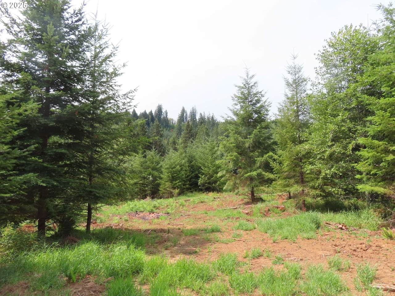https://bt-photos.global.ssl.fastly.net/portland/1280_boomver_1_226546168-2.jpg