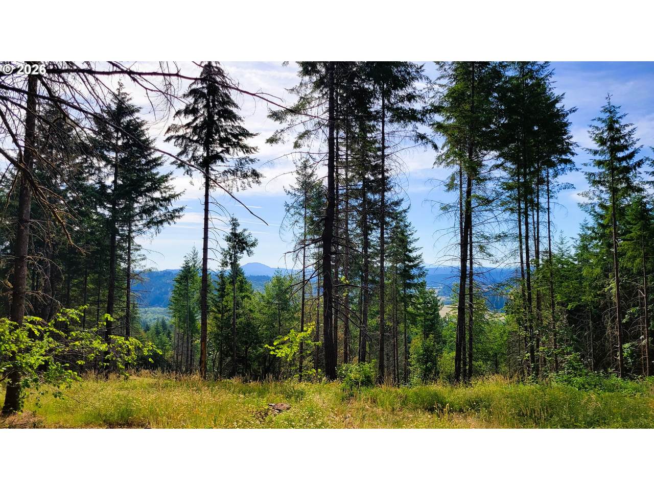 86830 Northill Ranch Rd - Photo 1