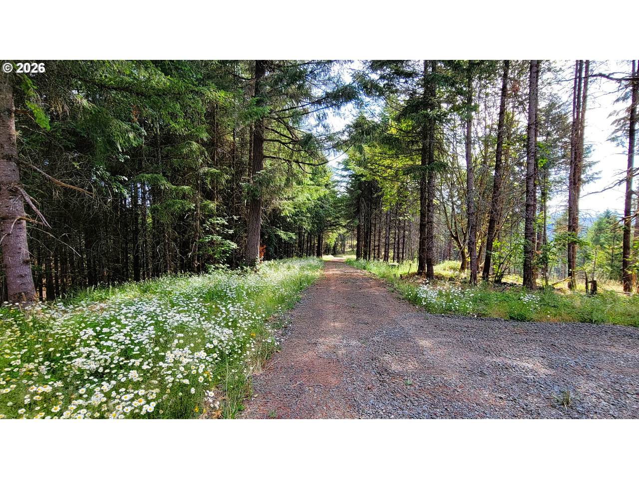 https://bt-photos.global.ssl.fastly.net/portland/1280_boomver_1_226681960-2.jpg