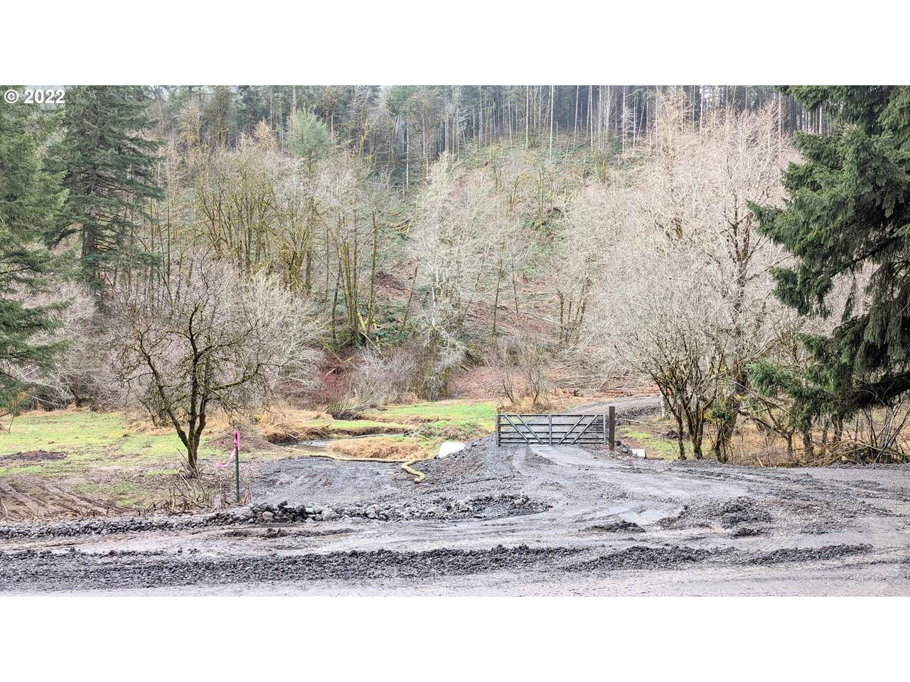 Pumpkinseed Rd - Photo 1