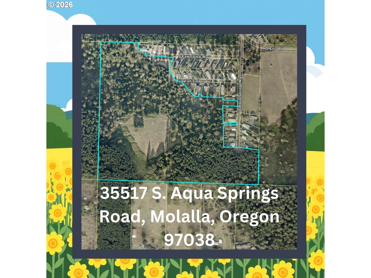 35517 Aqua Springs Rd - Photo 1
