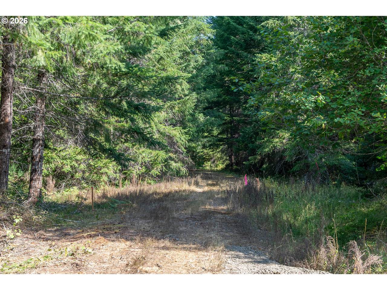 184 Hawk Meadows Rd - Photo 1